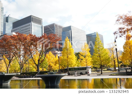 Autumn leaves in the outer gardens of the Imperial Palace and the buildings of Marunouchi 133292945