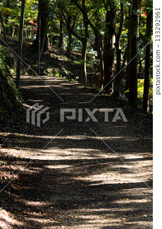 兵庫縣紫蘇市最上山的山步道 133292961