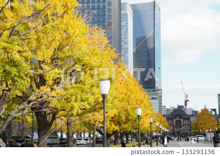 Ginkgo trees and Tokyo Station Ginkgo trees and Tokyo Station 133293136
