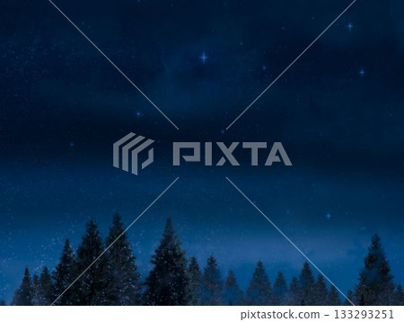 Digitally generated Night sky over forest 133293251
