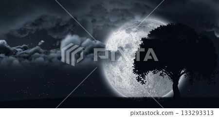 Moon shining behind a tree and clouds Moon shining behind a tree and clouds 133293313