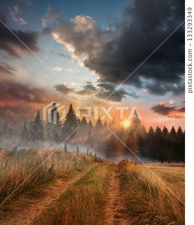 Tire track is winding through misty golden grasses, fence posts under rising sun in flat vector 133293349