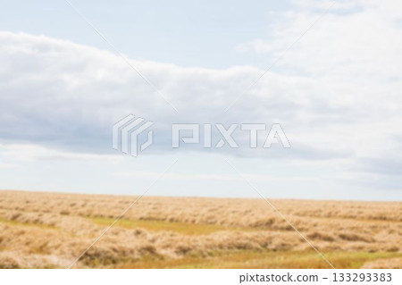 Grassy field against cloudy sky Grassy field against cloudy sky 133293383