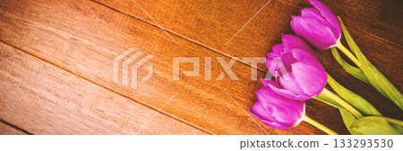 Cluster of five purple-pink tulip blooms is appearing diagonally in flat design on wooden tabletop 133293530
