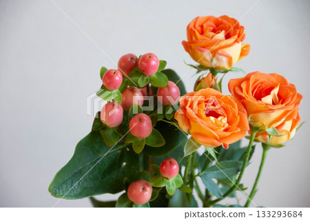 Rose and Hippelica Rose and Hippelica 133293684