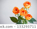 Rose of orange Rose of orange 133293711