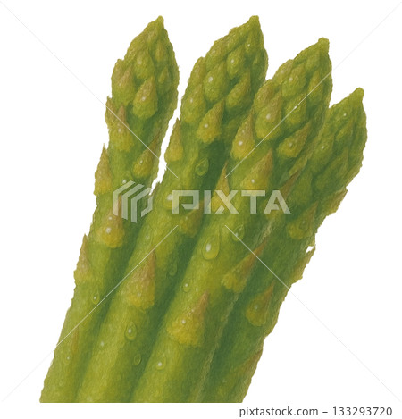 【蔬菜】新鮮蘆筍插圖 133293720