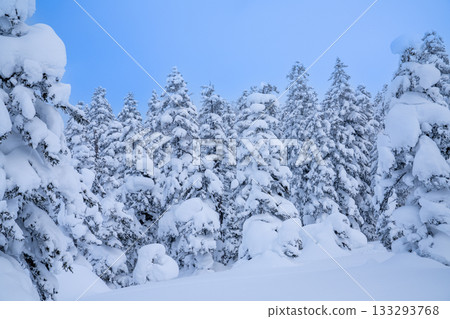 這是一張令人驚嘆的冬季風景照片，展現了北海道北部大雪山脈的景色，嚴冬時節，樹木上覆蓋著霜雪，地面上堆滿了雪怪。 133293768