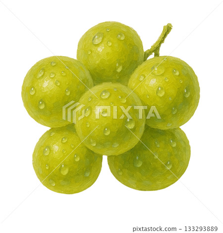 [Fruit] Illustration of a fresh Muscat 133293889
