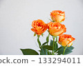 Rose of orange Rose of orange 133294011