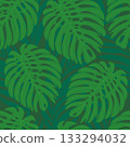 Vector seamless pattern with palm and monstera leaves Vector seamless pattern with palm and monstera leaves 133294032