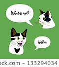 Vector illustration of two talking black and white cats Vector illustration of two talking black and white cats 133294034