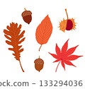Vector autumn set of illustrations with leaves, acorns and chestnut Vector autumn set of illustrations with leaves, acorns and chestnut 133294036
