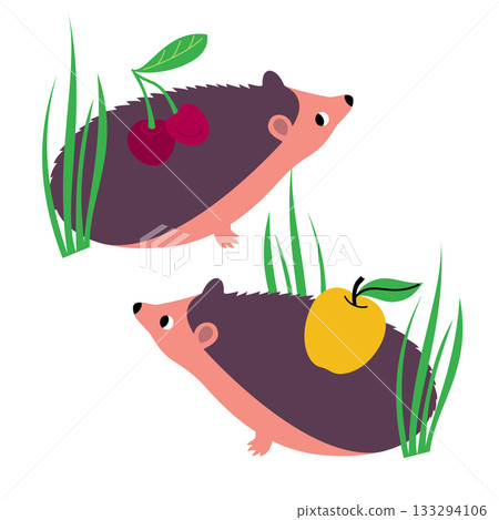 Vector illustration with two hedgehogs and summer fruits Vector illustration with two hedgehogs and summer fruits 133294106