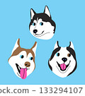 Vector illustration of three funny faces of husky dogs Vector illustration of three funny faces of husky dogs 133294107