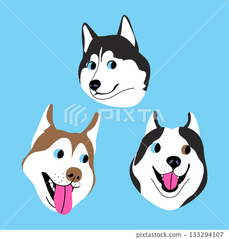 Vector illustration of three funny faces of husky dogs 133294107