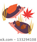 Vector illustration with two hedgehogs and autumn acorns and leaves Vector illustration with two hedgehogs and autumn acorns and leaves 133294108