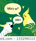 Vector illustration with two talking parrots in the jungle Vector illustration with two talking parrots in the jungle 133294113