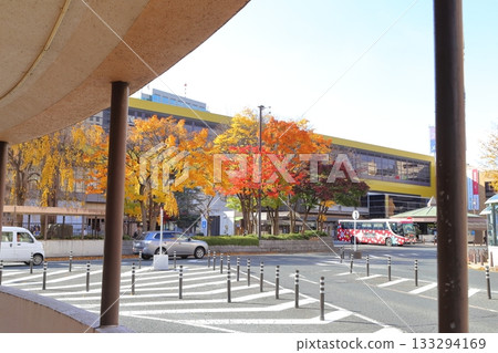 秋季的盛岡站地區 秋季的盛岡站地區 133294169