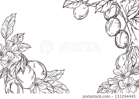 Vector frame of ripe plums, prunes, leaves and tree branches. All objects are hand-drawn in vector. The illustration is perfect for printing on food packaging, cosmetics, kitchen textiles. 133294445