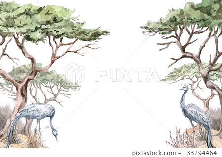 Rectangular frame with African acacia trees and gray cranes. Isolated watercolor illustration for interior design, eco-projects, travel agency websites and brochures, and apparel printing. Rectangular frame with African acacia trees and gray cranes. Isolated watercolor illustration for interior design, eco-projects, travel agency websites and brochures, and apparel printing. 133294464