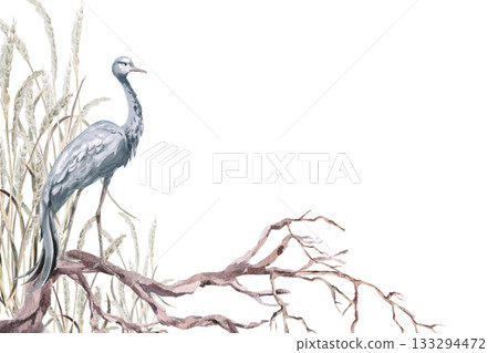 A rectangular frame with a gray crane on a gnarled tree. Isolated watercolor illustration for interior design, eco-projects, travel agency websites and brochures, and apparel printing. 133294472