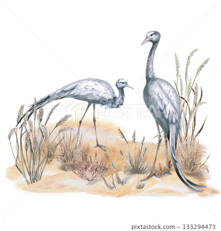 A landscape scene with two grey cranes. Isolated watercolor illustration for interior design, eco-projects, travel agency websites and brochures, company branding, and apparel printing. 133294473