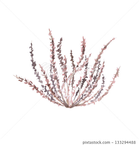 A set of steppe grasses and leaves. Isolated watercolor illustration of steppe vegetation for interior design, eco-projects, travel agency websites, company branding, and apparel printing. 133294488
