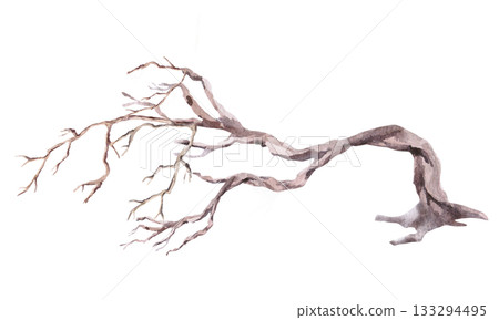A dried, gnarled, leaning tree. Isolated watercolor illustration for interior design, eco-projects, travel agency websites and brochures, company branding, and apparel printing. 133294495