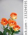 Rose of orange Rose of orange 133294595