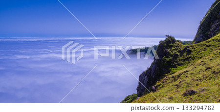 Fog Seascape from Mystical Fanal Forest,  Madeira, Portugal 133294782