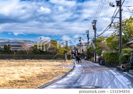 嵯峨野的冬天：人力車穿梭而過，京都市右京區，京都府 133294850
