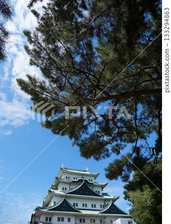 名古屋城天守閣的秋景 名古屋城天守閣的秋景 133294863