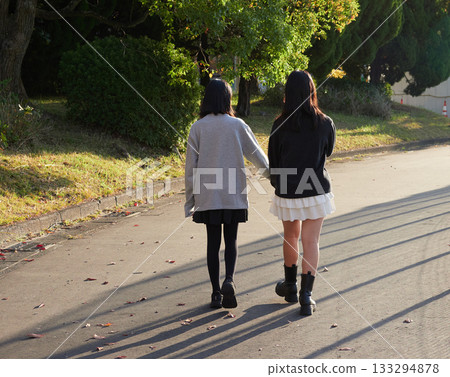 Girls having fun playing in a beautiful autumn park 133294878