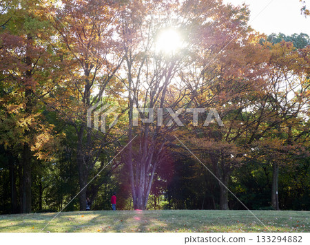 Nursery school children playing in the autumn park 133294882