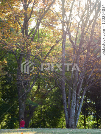 Nursery school children playing in the autumn park 133294884