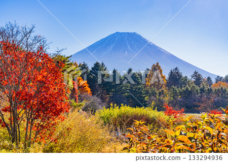 [Yamanashi Prefecture] Autumn at Lake Motosu Resort and Mount Fuji 133294936