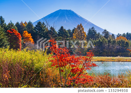 【山梨縣】本棲湖度假村和富士山的秋季美景 【山梨縣】本棲湖度假村和富士山的秋季美景 133294938