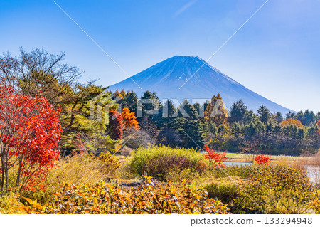 【山梨縣】本棲湖度假村和富士山的秋季美景 133294948