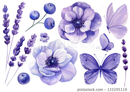 Purple anemones lavender sprigs blueberries and butterflies watercolor floral set for elegant botanical spring design Purple anemones lavender sprigs blueberries and butterflies watercolor floral set for elegant botanical spring design 133295119