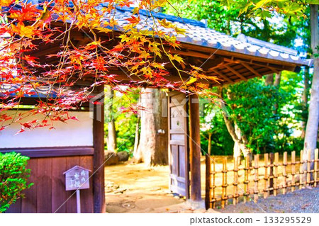 Autumn leaves of an old private house 133295529