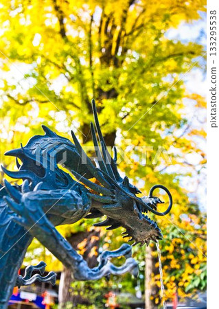 Autumn leaves of Todoroki Fudoson 133295538