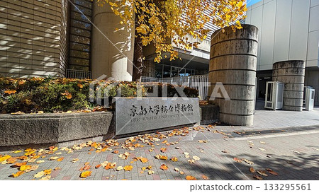京都大學博物館與銀杏樹 133295561