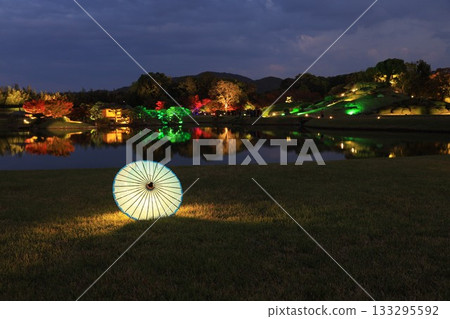 岡山城和後樂園點燈 133295592