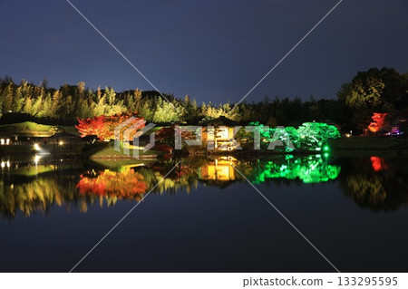 岡山城和後樂園點燈 133295595