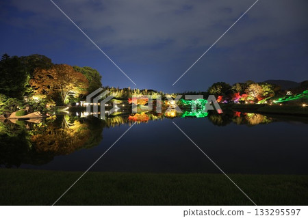 岡山城和後樂園點燈 133295597