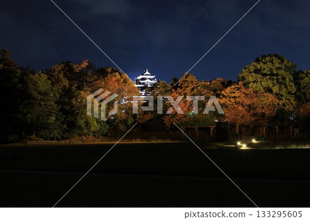 Illuminated Okayama Castle and Korakuen 133295605