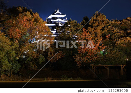 岡山城和後樂園點燈 岡山城和後樂園點燈 133295606