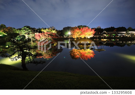 Illuminated Okayama Castle and Korakuen 133295608
