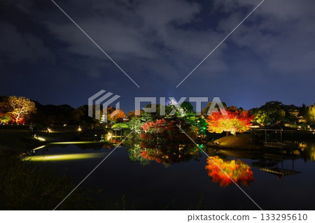 岡山城和後樂園點燈 133295610